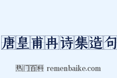 唐皇甫冉诗集造句是什么意思的图片